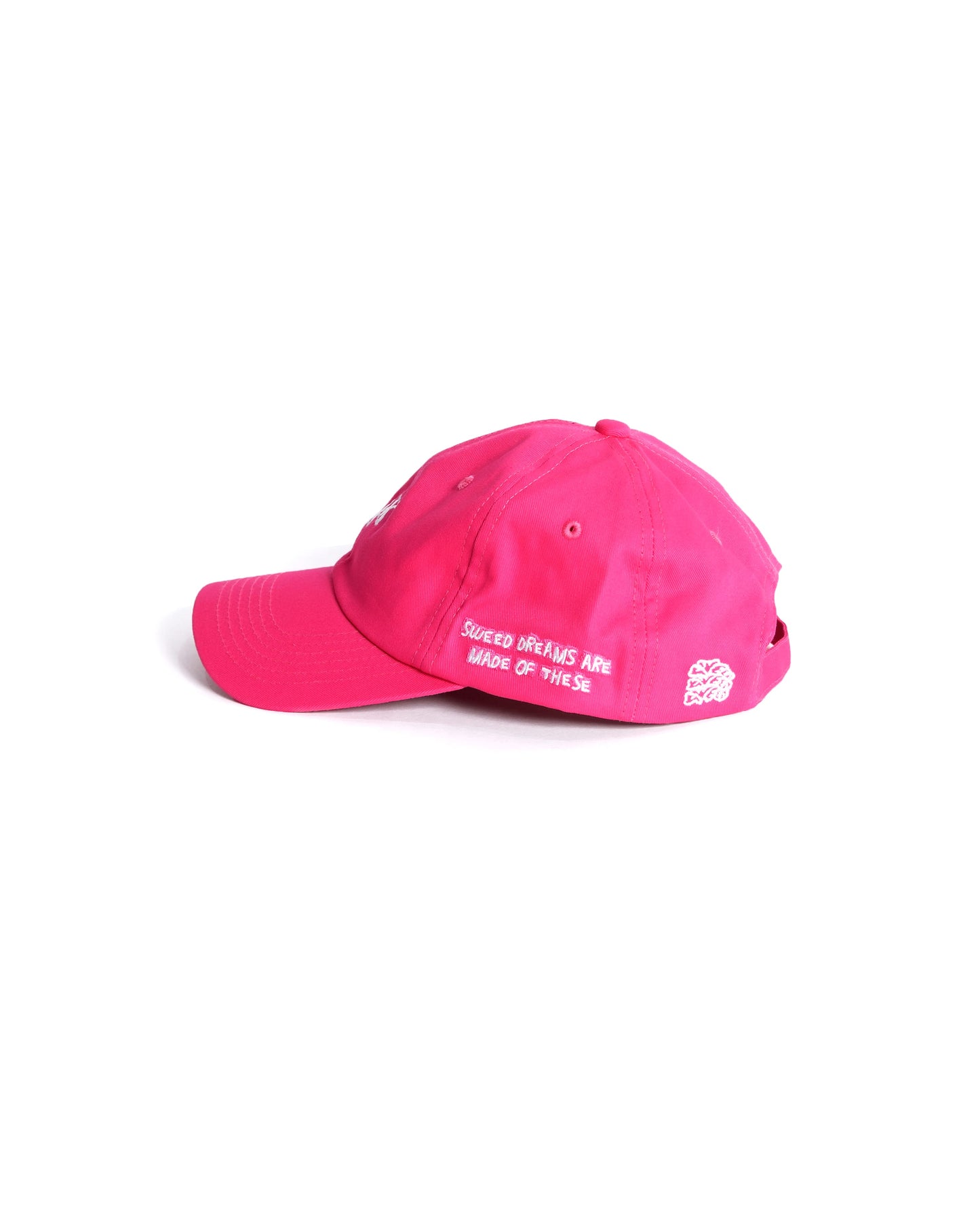 left view, sweed logo, embroidery, dad cap, sweed, beige, KK, New era, MLB, NBA, hot, pink, assc, anti social social club